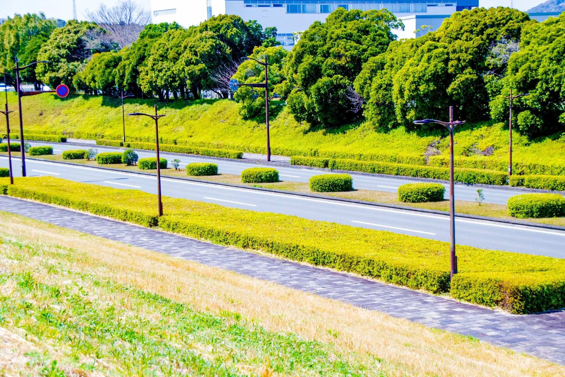 木々に囲まれた、晴れの日の綺麗な道路